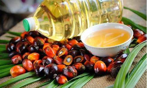 豆油棕榈油期货最新行情(棕榈 豆油)_https://www.sdylsx.com_中金所_第1张