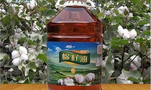 新疆一级棉籽油今日期货行情(新疆棉籽油价格)_https://www.sdylsx.com_中金所_第1张