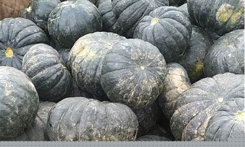 老南瓜期货行情(南瓜价格走势图)_https://www.sdylsx.com_上期所_第1张