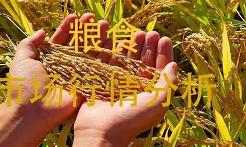 粮食市场期货实时行情(粮食市场期货实时行情查询)_https://www.sdylsx.com_郑商所_第1张