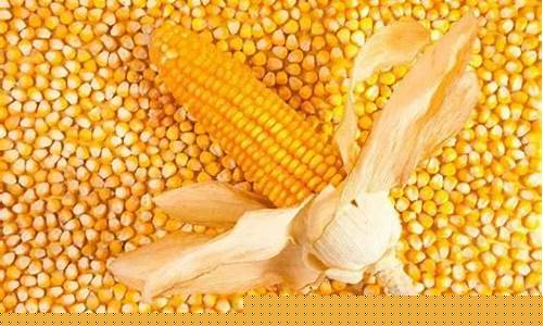 玉米最新行情期货(玉米最新行情期货走势图)_https://www.sdylsx.com_广期所_第1张