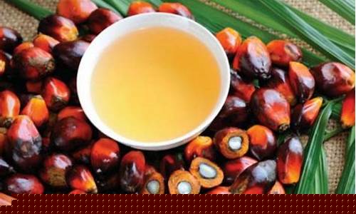 马来棕榈油期货行情最新价格(马来西亚棕榈油期货行情实时)_https://www.sdylsx.com_大商所_第1张