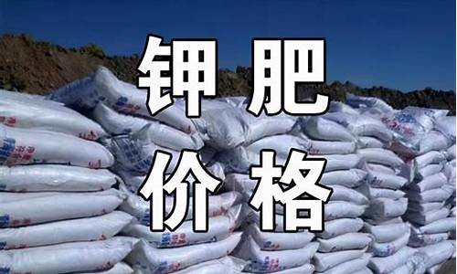 钾肥期货今日行情最新(钾肥期货价格及走势图)_https://www.sdylsx.com_广期所_第1张