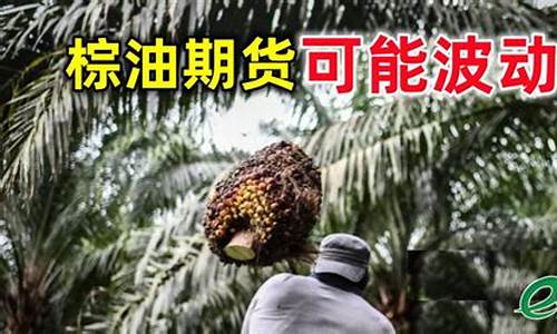 棕油期货实时行情新浪网(棕榈油期货新浪2101)_https://www.sdylsx.com_中金所_第1张