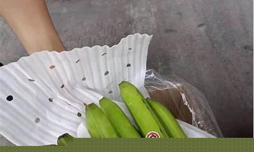 越南香蕉期货行情最新情况(越南香蕉好吃吗)_https://www.sdylsx.com_郑商所_第1张