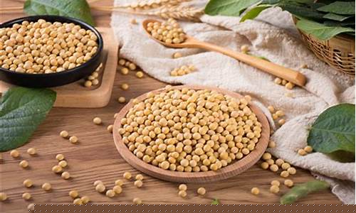 黄大豆一号期货实时行情(美期货大豆实时行情)_https://www.sdylsx.com_中金所_第1张