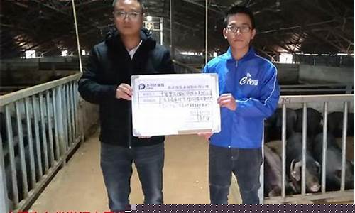 2307生猪期货最新行情(生猪期货行情2201)_https://www.sdylsx.com_上期所_第1张