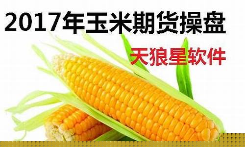 杭州玉米期货行情分析(杭州玉米科技有限公司)_https://www.sdylsx.com_大商所_第1张