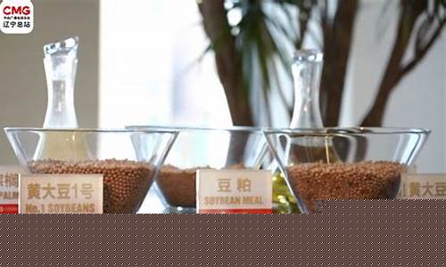 大连大豆油期货时实行情(大连大豆油价格)_https://www.sdylsx.com_中金所_第1张
