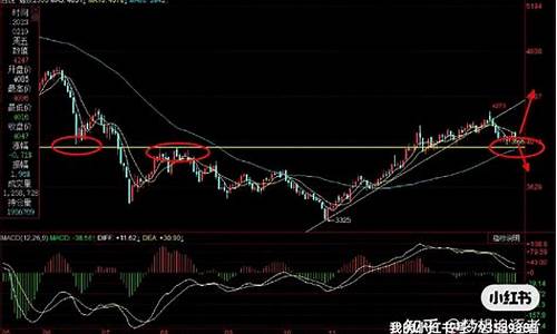 上海螺纹期货行情在哪看(上海螺纹钢期货)_https://www.sdylsx.com_广期所_第1张