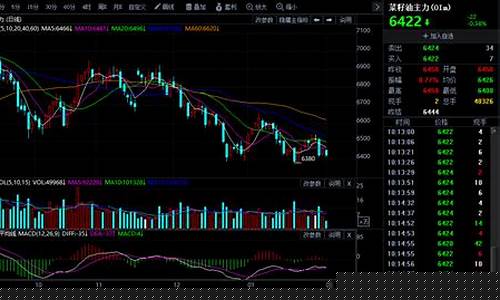 今日油菜期货行情(油菜期货 实时行情)_https://www.sdylsx.com_中金所_第1张