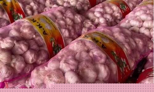 大蒜期货行情杞县(大蒜期货价格)_https://www.sdylsx.com_中金所_第1张