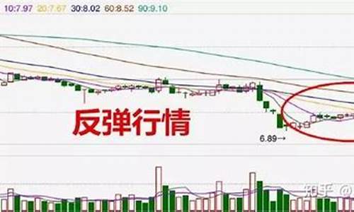 期货反弹行情如何介入_https://www.sdylsx.com_大商所_第1张