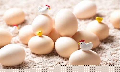 期货2101鸡蛋什么行情(2101鸡蛋期货分析)_https://www.sdylsx.com_上期所_第1张
