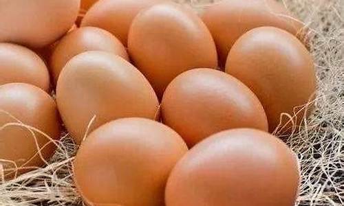 四季度鸡蛋期货价格行情(鸡蛋价格行情)_https://www.sdylsx.com_广期所_第1张
