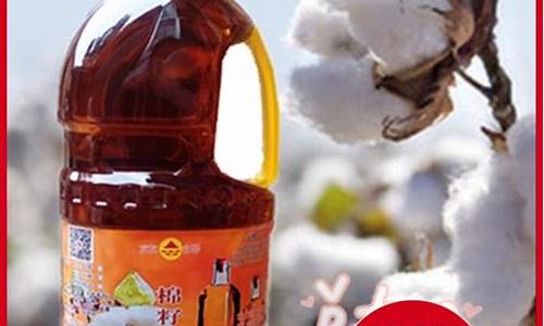 新疆棉籽油期货实时行情(新疆棉籽最新价格)_https://www.sdylsx.com_上期所_第1张