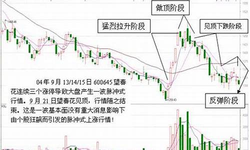 期货脉冲行情(期货高频脉冲)_https://www.sdylsx.com_郑商所_第1张