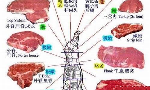 期货行情分析牛肉品种图(牛肉期货交易)_https://www.sdylsx.com_大商所_第1张