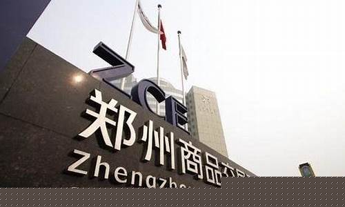 郑州期货交易所是什么(郑州期货交易所是什么性质的单位)_https://www.sdylsx.com_大商所_第1张