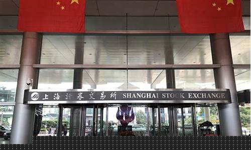上海证券交易所代码开头(上海证券交易所科创板代码)_https://www.sdylsx.com_上期能源_第1张