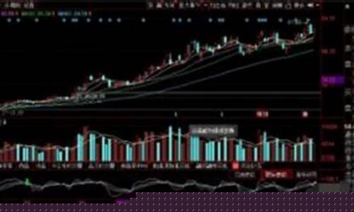 优质股票具备哪些条件呢(何为优质股票)_https://www.sdylsx.com_郑商所_第1张
