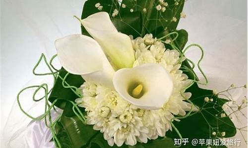 期货赌场(期货是赌场)_https://www.sdylsx.com_上期能源_第1张