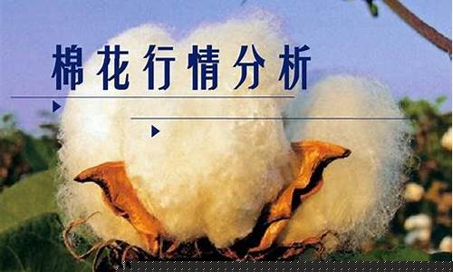 棉花期货(棉花期货最新消息今天)_https://www.sdylsx.com_大商所_第1张