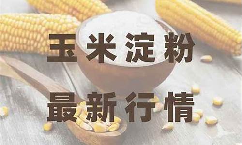 淀粉期货分析(淀粉期货分析论文)_https://www.sdylsx.com_广期所_第1张