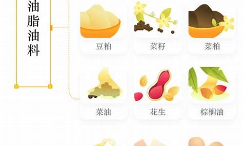 期货品种研究(期货品种分析)_https://www.sdylsx.com_上期能源_第1张