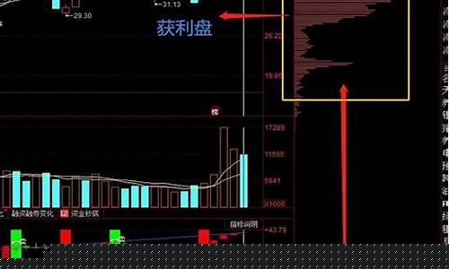 期货筹码分布(期货筹码分布怎么看)_https://www.sdylsx.com_广期所_第1张
