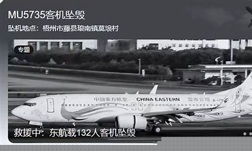 央视财经直播飞机失事视频(飞机cctv1)_https://www.sdylsx.com_中金所_第1张