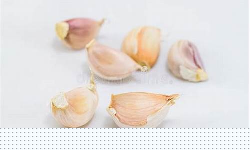 大蒜期货价格(大蒜期货价格走势图)_https://www.sdylsx.com_上期所_第1张