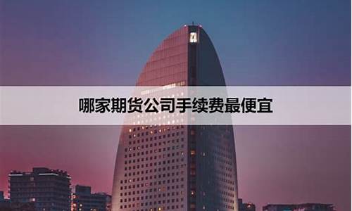 哪家期货公司手续费最低(哪家期货公司手续费最低 哔哩哔哩)_https://www.sdylsx.com_中金所_第1张