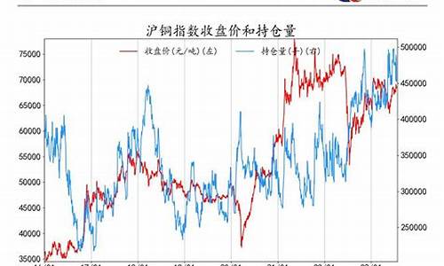 期货持仓量什么意思(期货持仓量用什么字母表示)_https://www.sdylsx.com_广期所_第1张