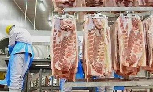 冻肉期货(冻猪肉期货)_https://www.sdylsx.com_上期能源_第1张