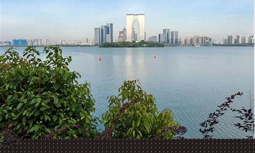 打期货战(期货 战胜自己)_https://www.sdylsx.com_中金所_第1张