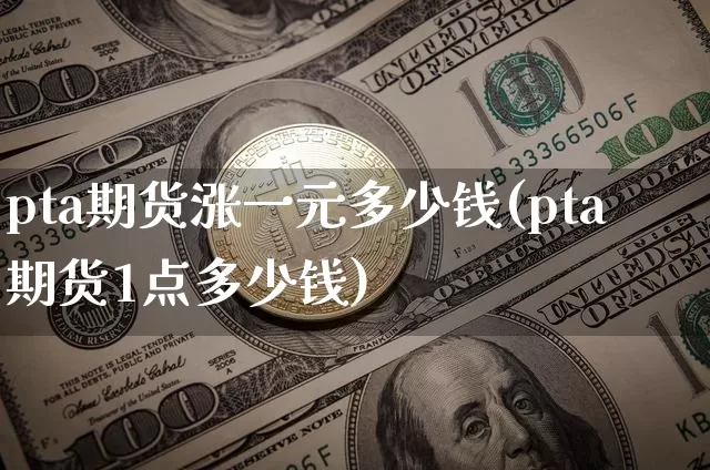 pta期货涨一元多少钱(pta期货1点多少钱)_https://www.sdylsx.com_中金所_第1张