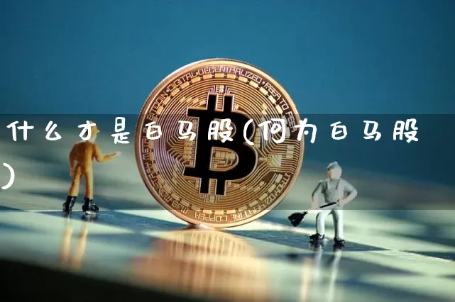 什么才是白马股(何为白马股)_https://www.sdylsx.com_上期能源_第1张