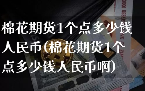 棉花期货1个点多少钱人民币(棉花期货1个点多少钱人民币啊)_https://www.sdylsx.com_中金所_第1张