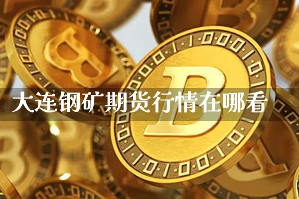大连钢矿期货行情在哪看_https://www.sdylsx.com_广期所_第1张