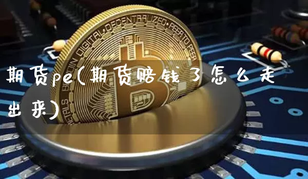 期货pe(期货赔钱了怎么走出来)_https://www.sdylsx.com_大商所_第1张