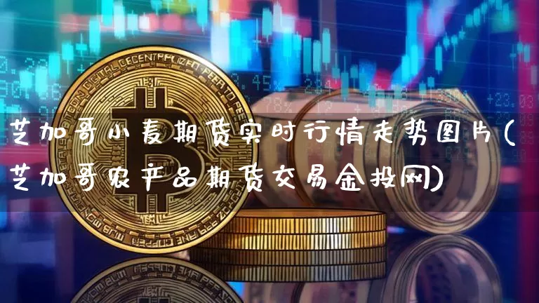 芝加哥小麦期货实时行情走势图片(芝加哥农产品期货交易金投网)_https://www.sdylsx.com_郑商所_第1张