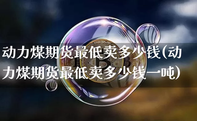 动力煤期货最低卖多少钱(动力煤期货最低卖多少钱一吨)_https://www.sdylsx.com_中金所_第1张
