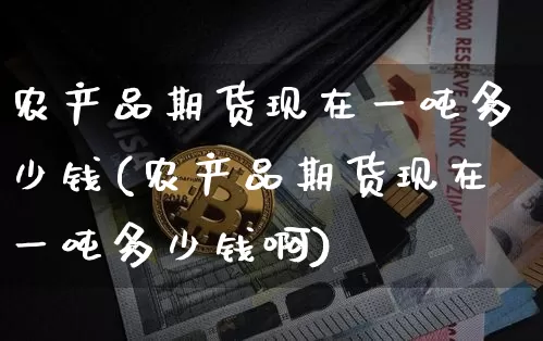 农产品期货现在一吨多少钱(农产品期货现在一吨多少钱啊)_https://www.sdylsx.com_中金所_第1张