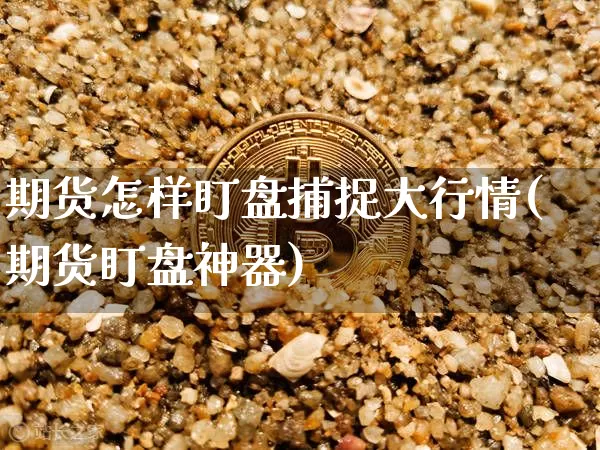 期货怎样盯盘捕捉大行情(期货盯盘神器)_https://www.sdylsx.com_大商所_第1张