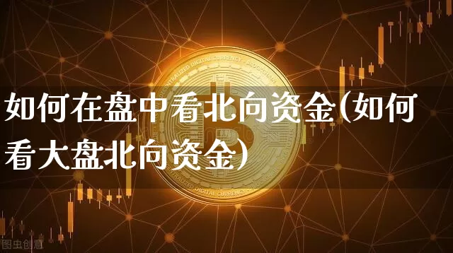 如何在盘中看北向资金(如何看大盘北向资金)_https://www.sdylsx.com_广期所_第1张