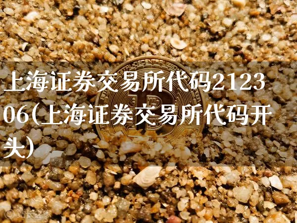 上海证券交易所代码212306(上海证券交易所代码开头)_https://www.sdylsx.com_郑商所_第1张