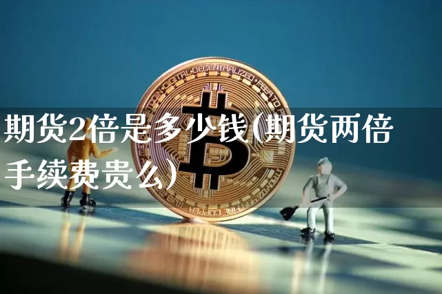 期货2倍是多少钱(期货两倍手续费贵么)_https://www.sdylsx.com_大商所_第1张