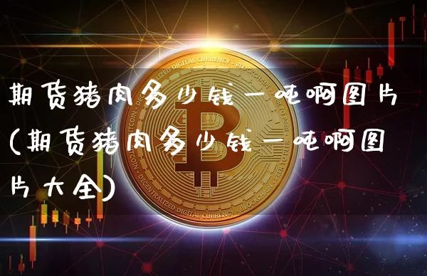 期货猪肉多少钱一吨啊图片(期货猪肉多少钱一吨啊图片大全)_https://www.sdylsx.com_上期所_第1张