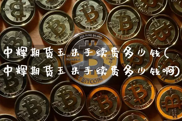 中辉期货玉米手续费多少钱(中辉期货玉米手续费多少钱啊)_https://www.sdylsx.com_上期能源_第1张